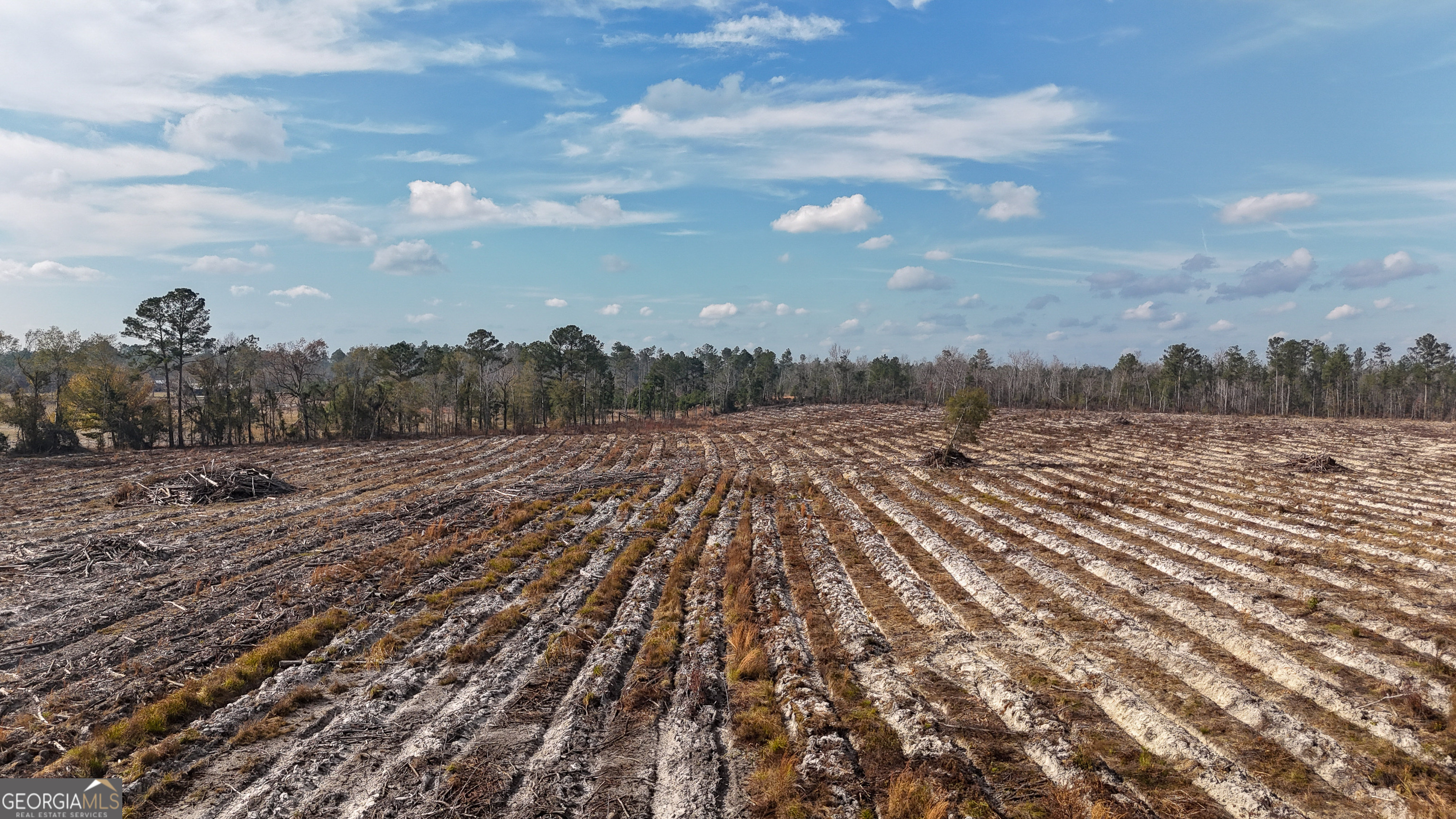 0 Bells Ferry Road Lumber City GA 31549