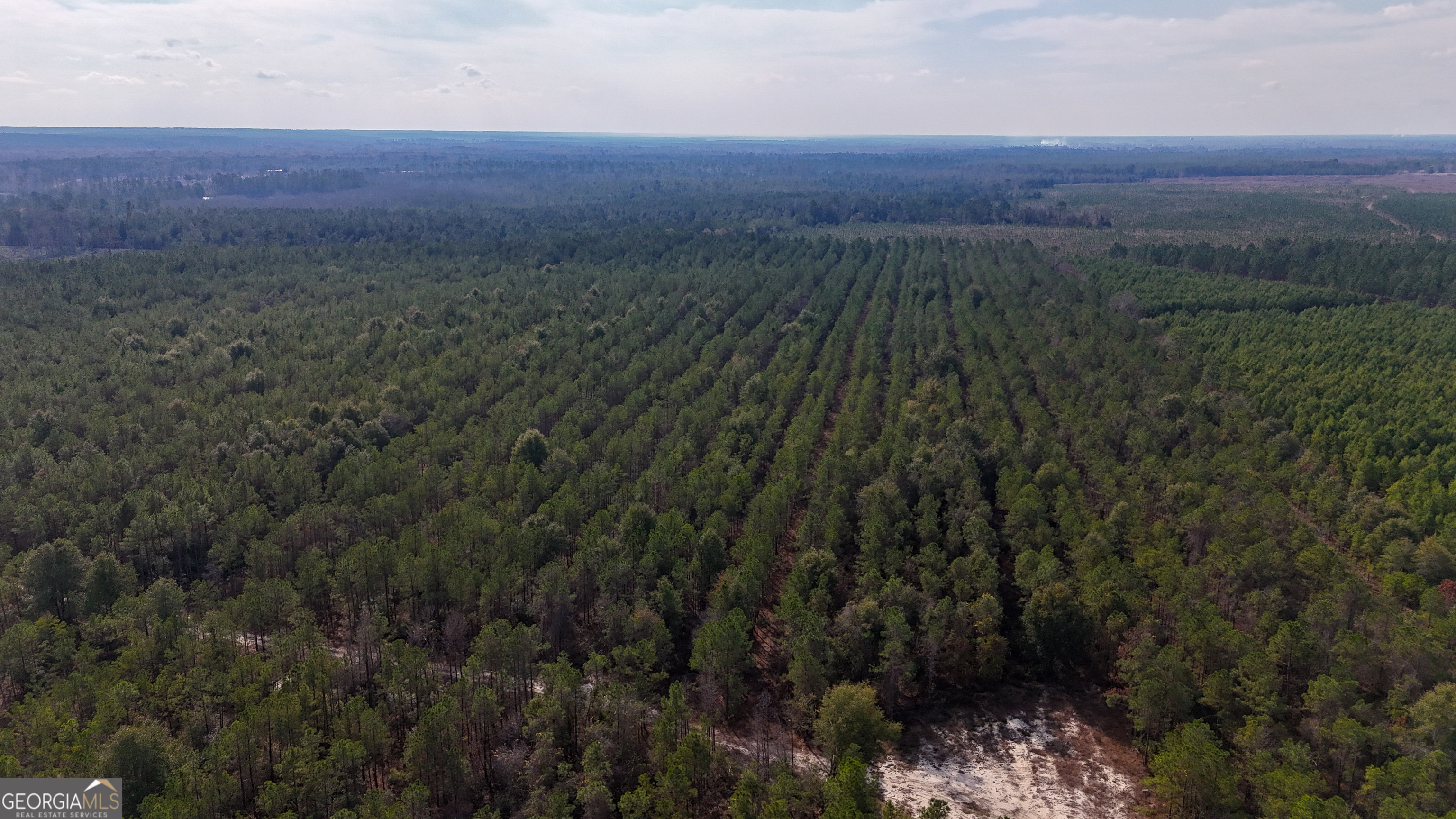 0 Bells Ferry Road Lumber City GA 31549