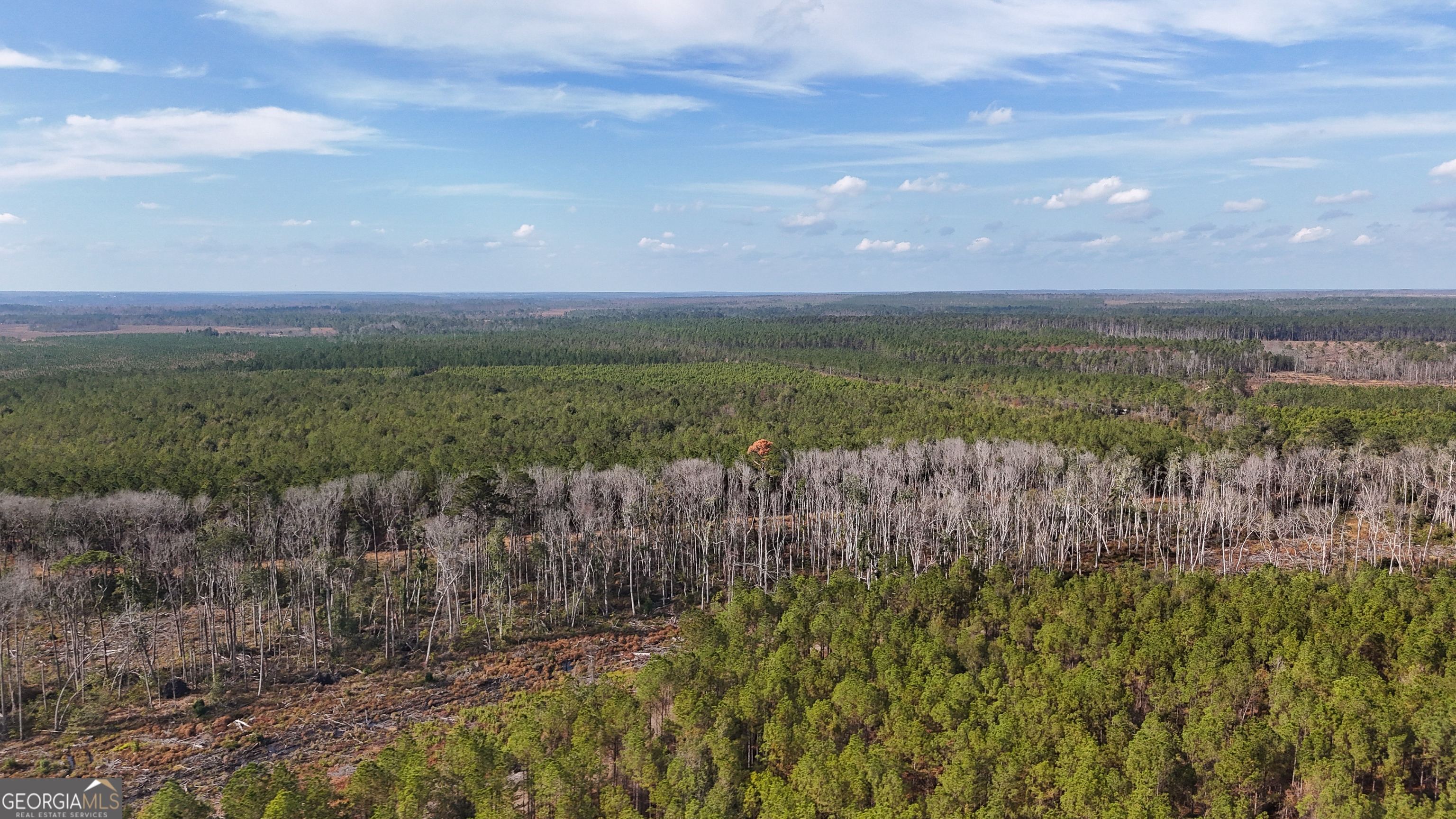 0 Bells Ferry Road Lumber City GA 31549