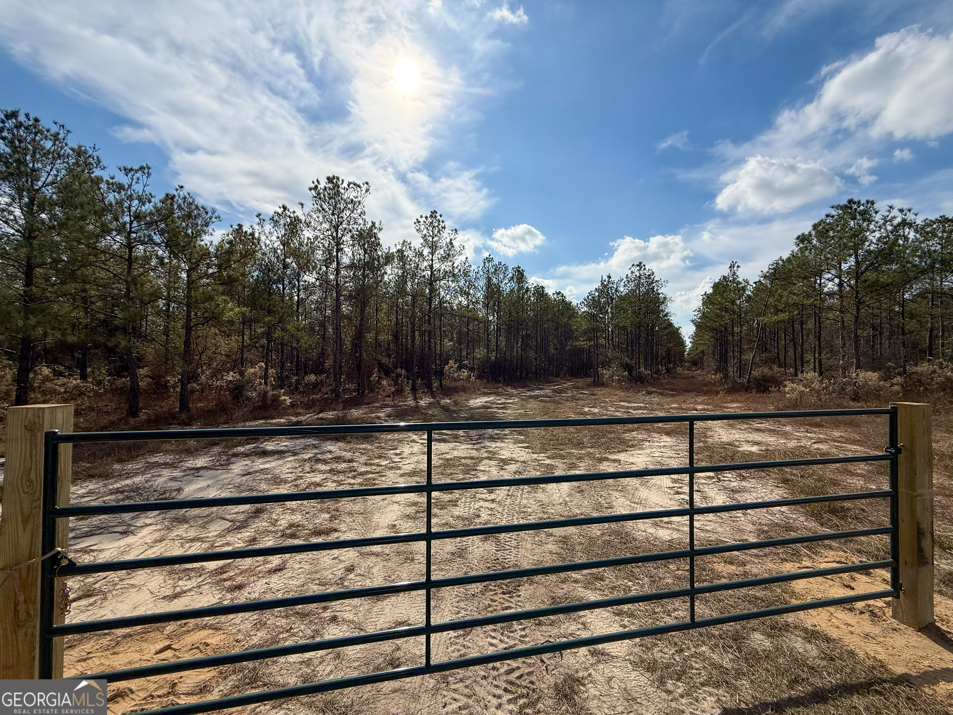 0 Bells Ferry Road Lumber City GA 31549