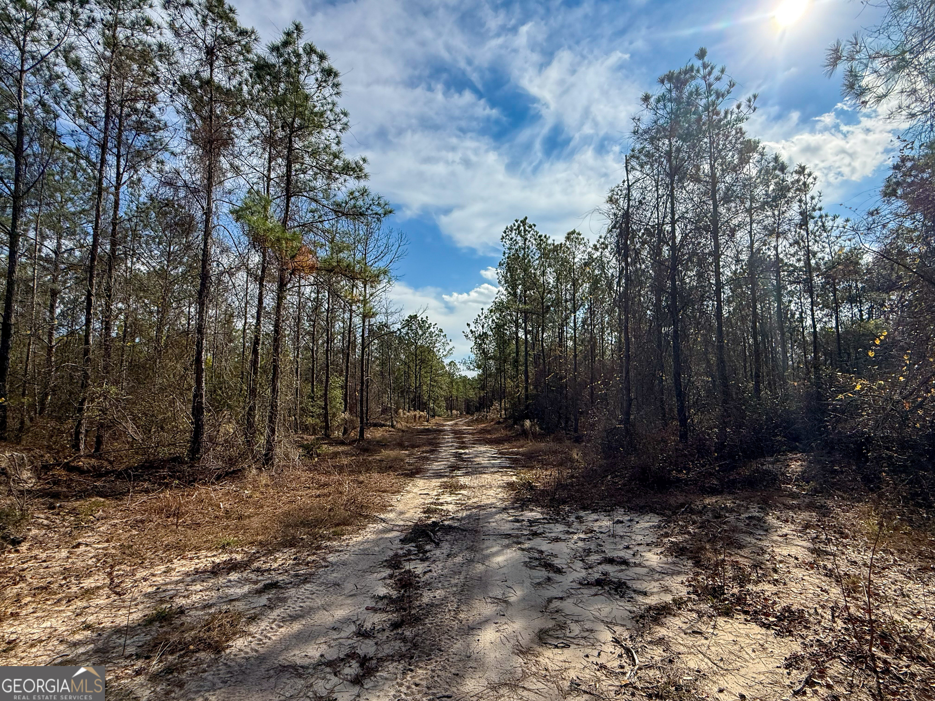 0 Bells Ferry Road Lumber City GA 31549