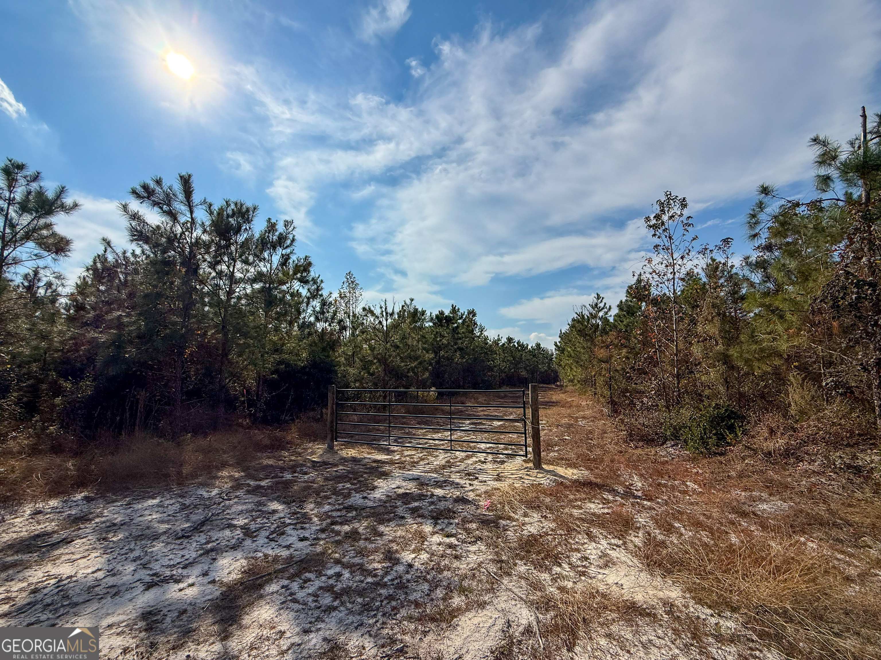 0 Bells Ferry Road Lumber City GA 31549