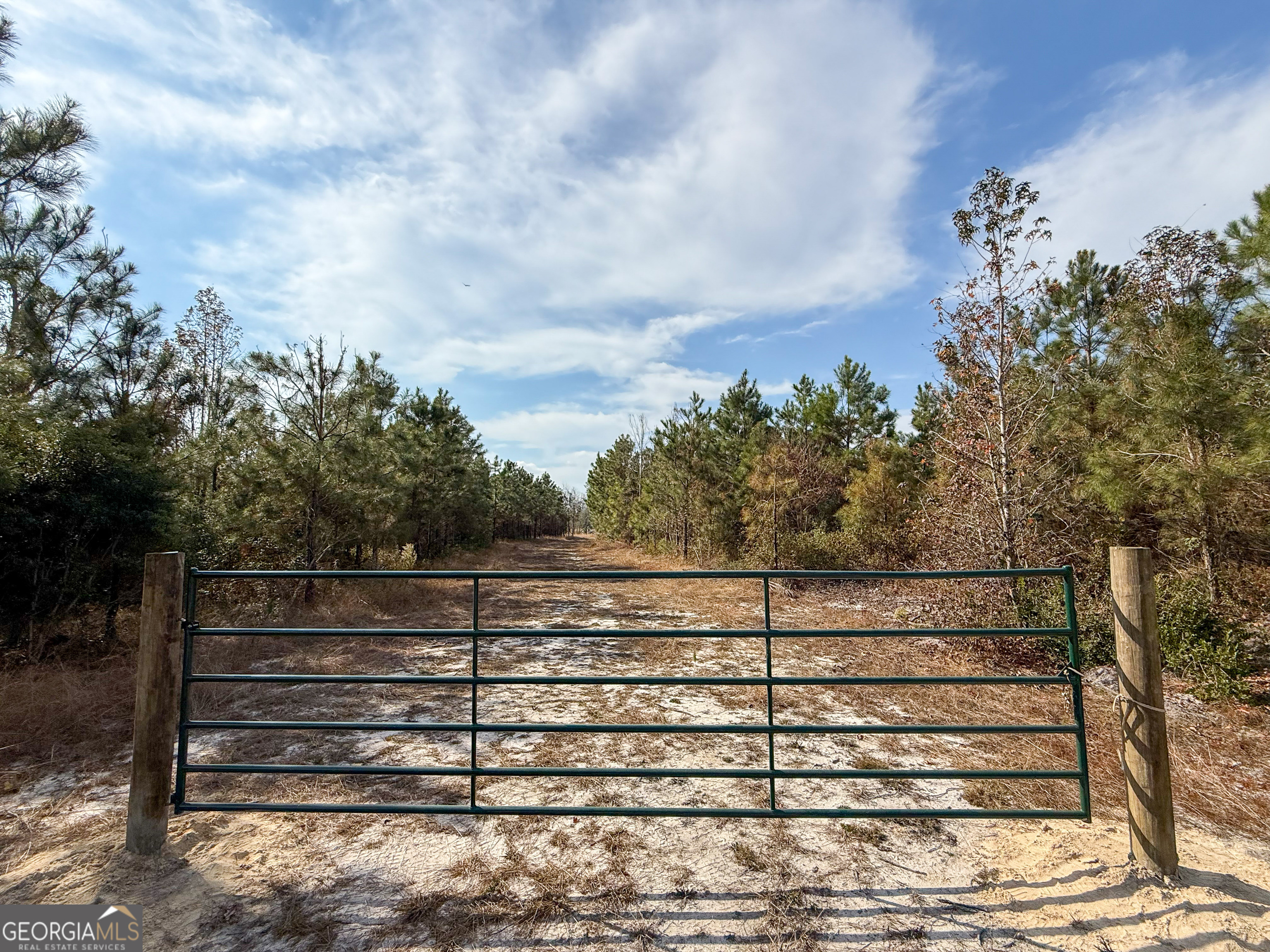 0 Bells Ferry Road Lumber City GA 31549