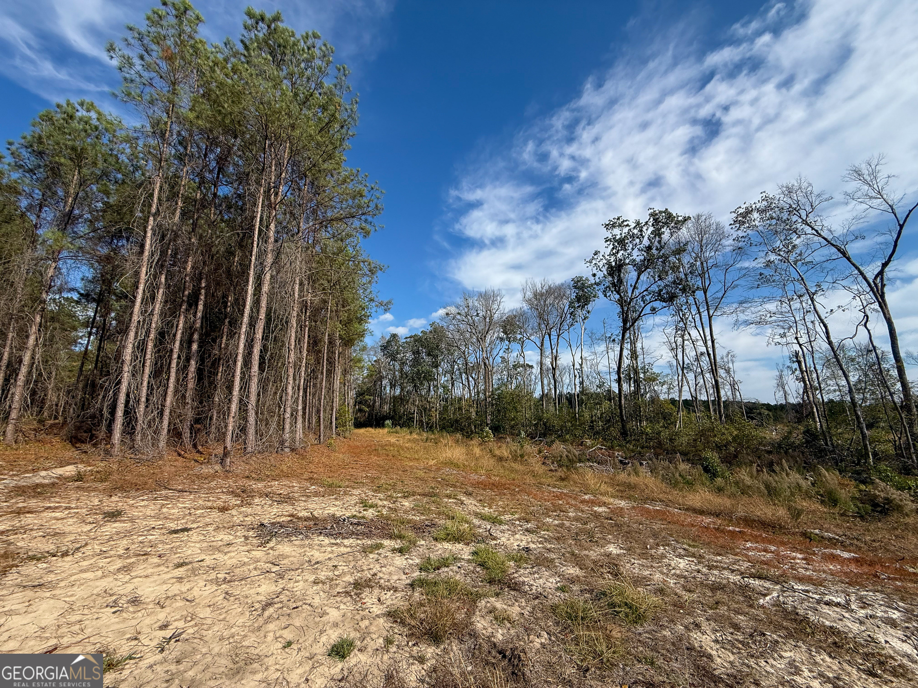 0 Bells Ferry Road Lumber City GA 31549