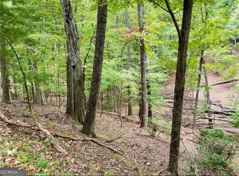 327 Grouse Gap Drive Jasper GA 30143