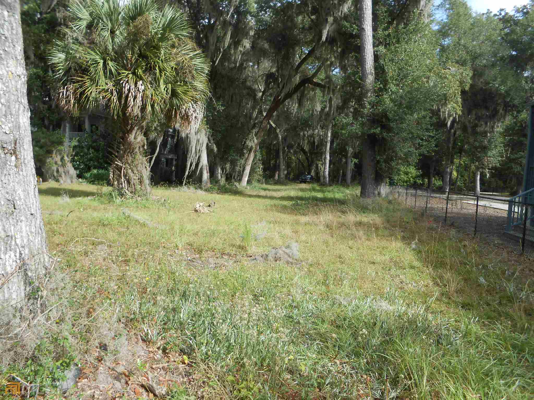 0 Julienton Drive Townsend GA 31331