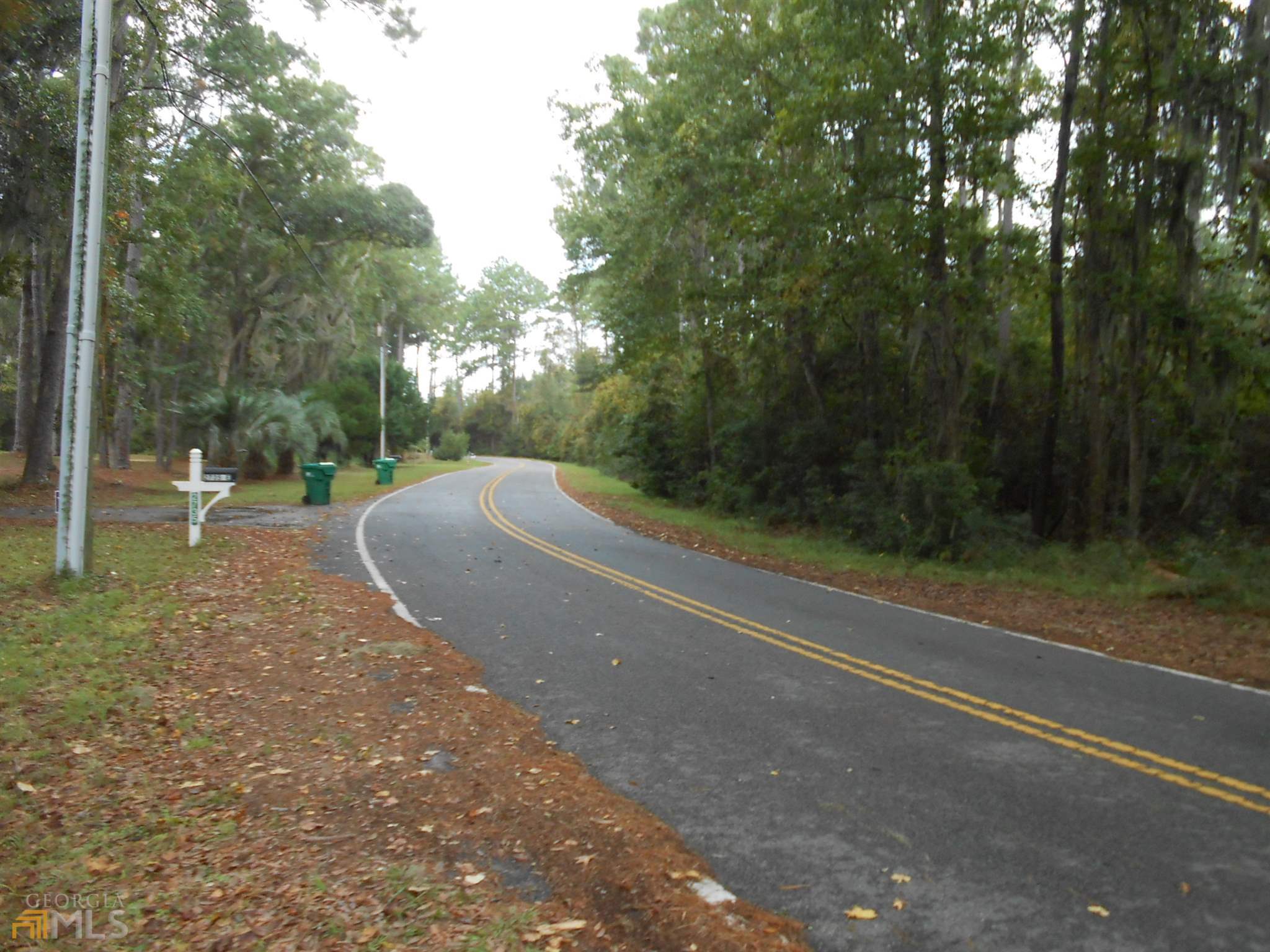0 Julienton Drive Townsend GA 31331