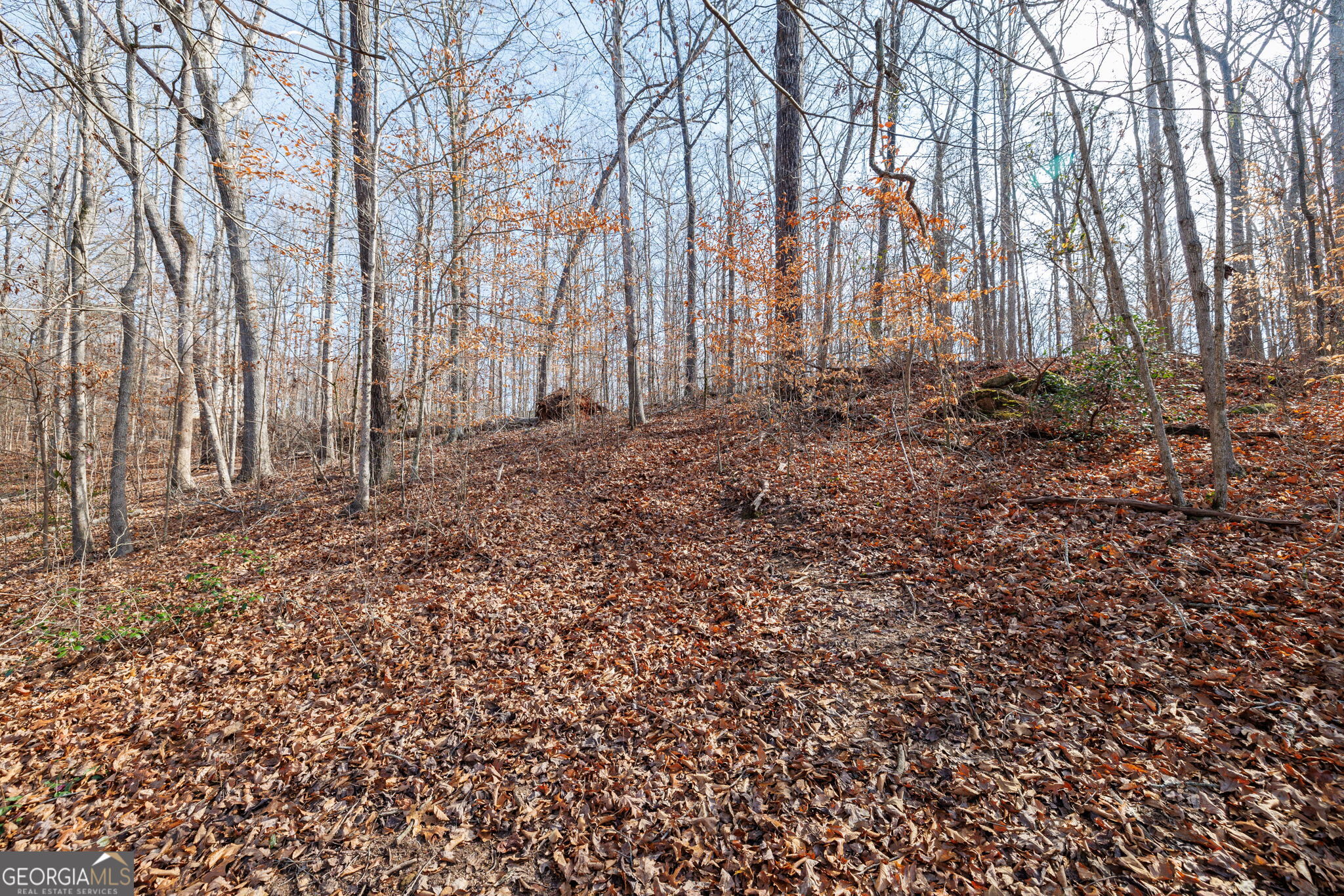 Lot 23 & 24 Tomlin Way Commerce GA 30530