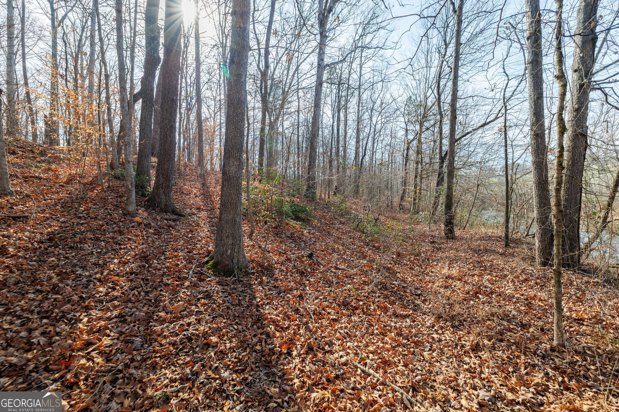 Lot 23 & 24 Tomlin Way Commerce GA 30530