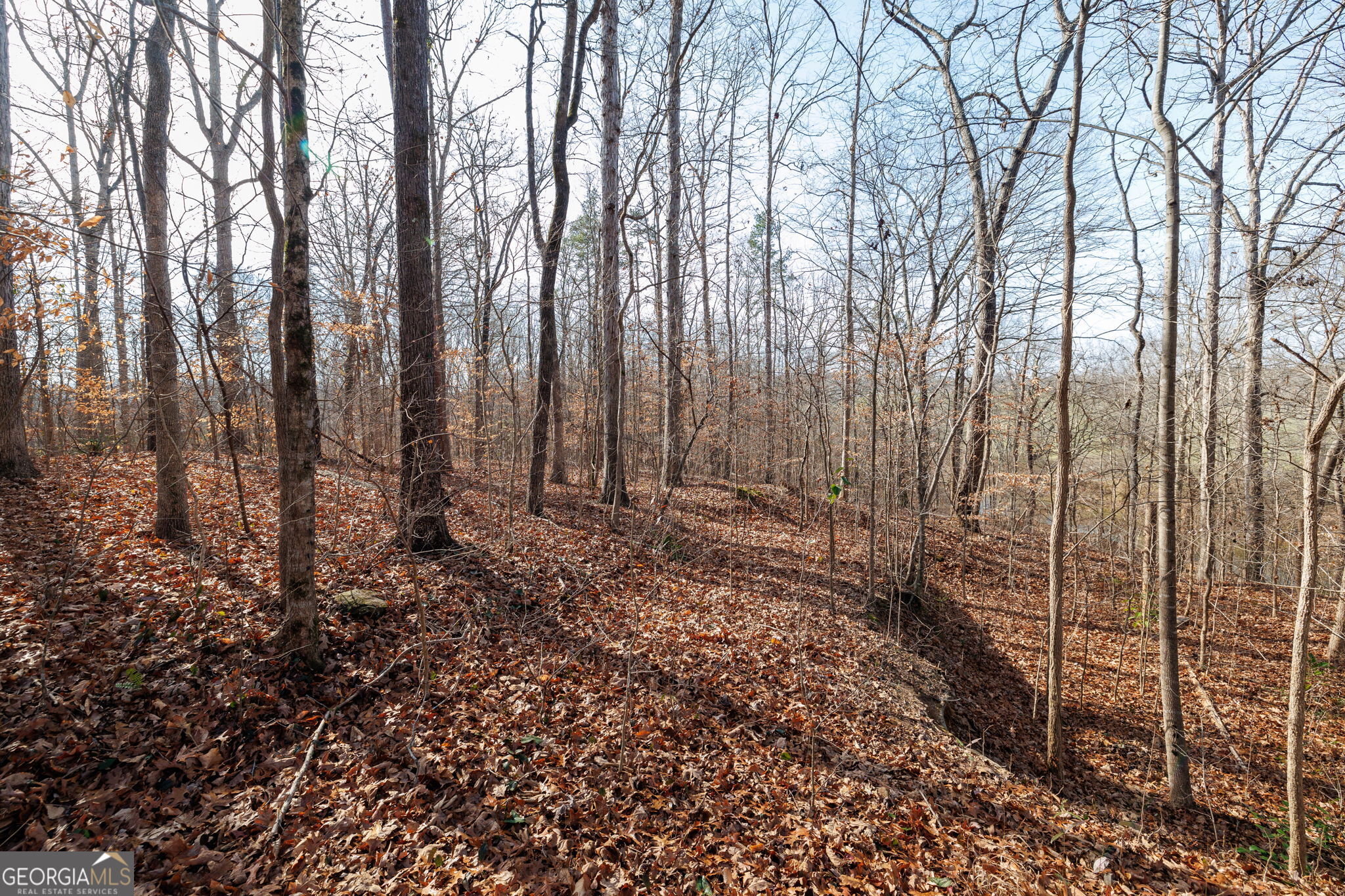 Lot 23 & 24 Tomlin Way Commerce GA 30530