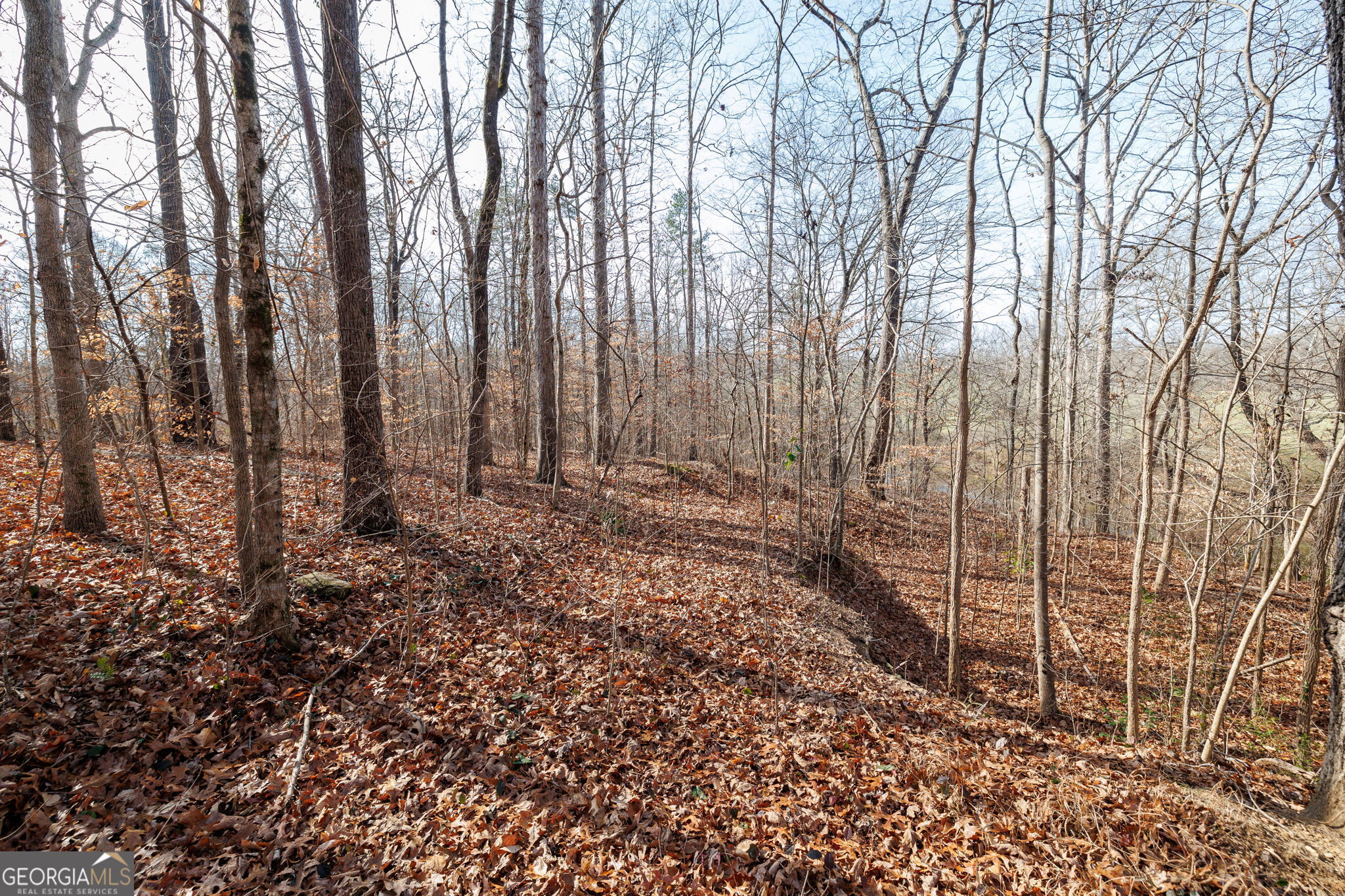 Lot 23 & 24 Tomlin Way Commerce GA 30530