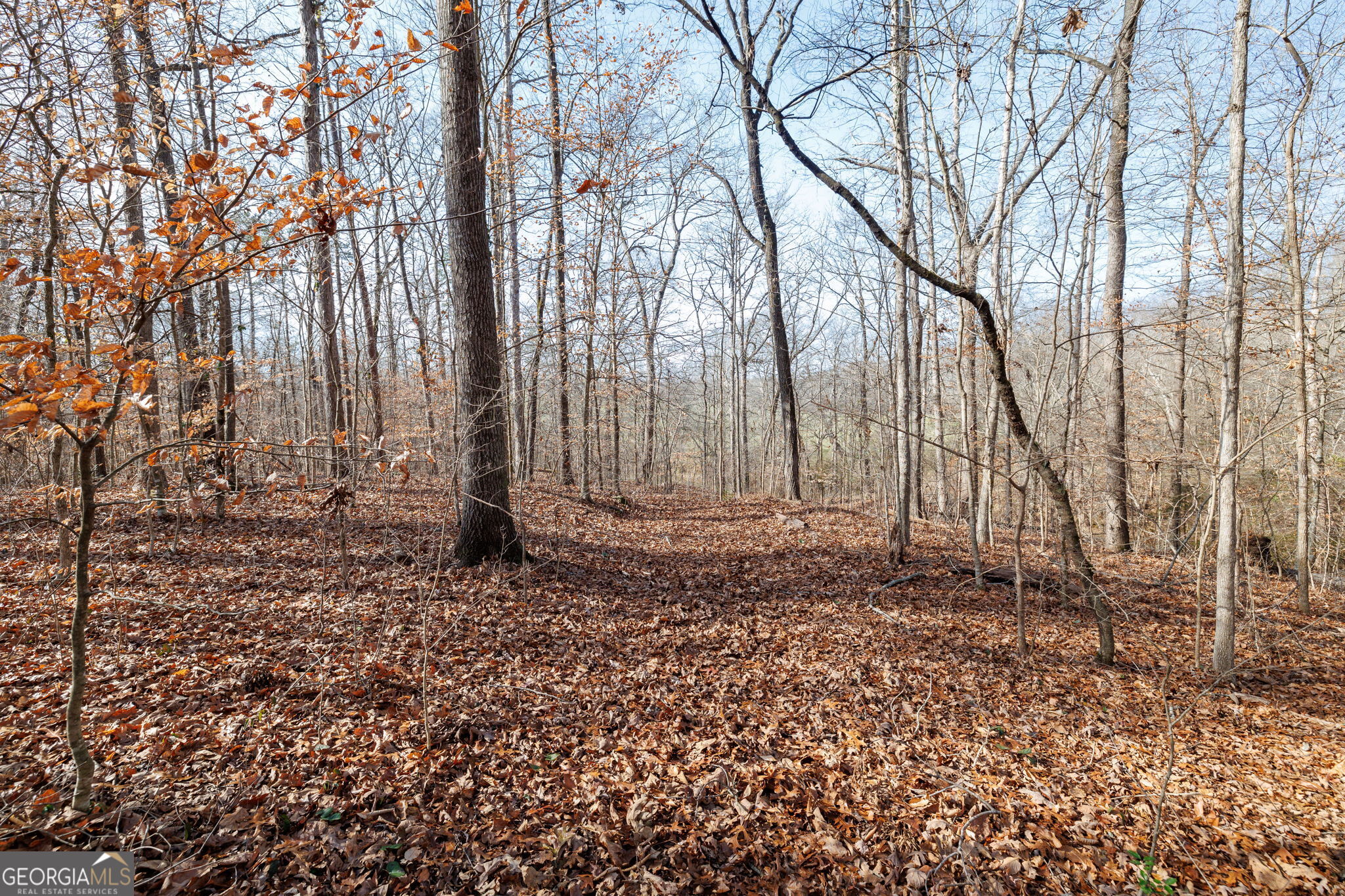Lot 23 & 24 Tomlin Way Commerce GA 30530