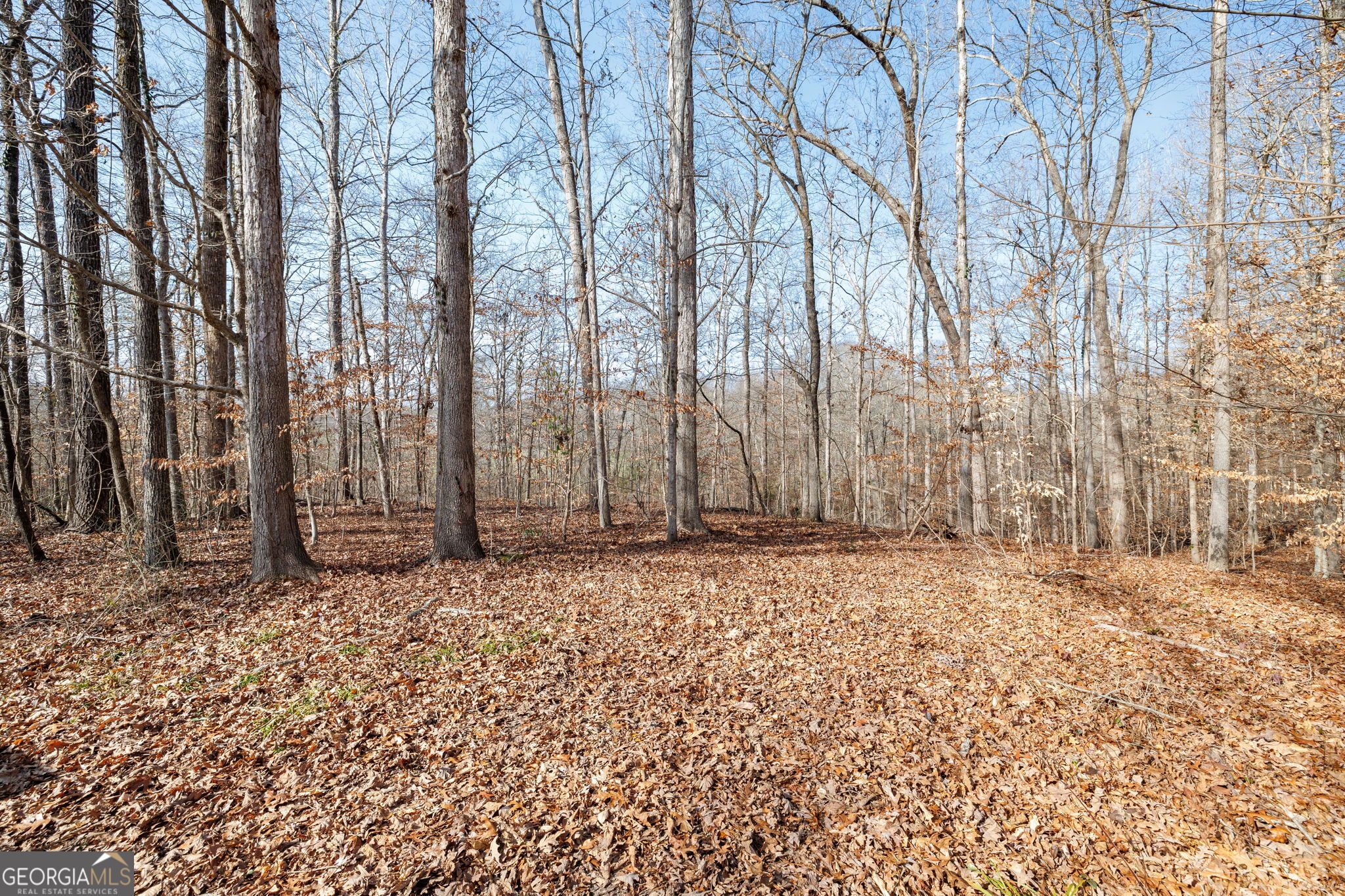 Lot 23 & 24 Tomlin Way Commerce GA 30530