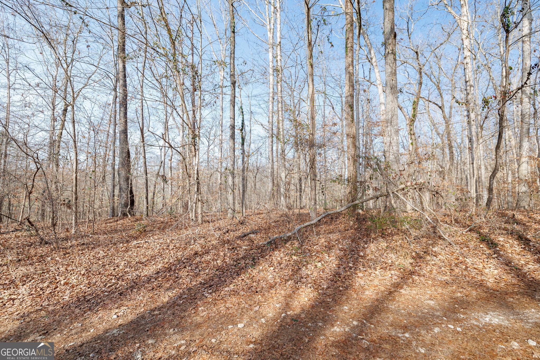 Lot 23 & 24 Tomlin Way Commerce GA 30530