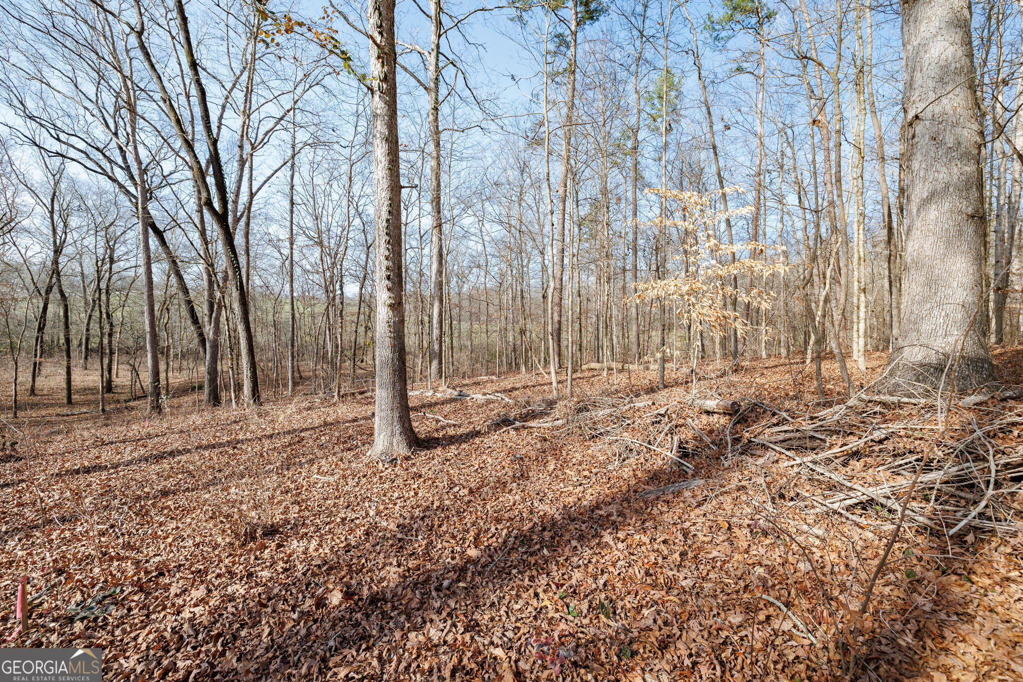 Lot 23 & 24 Tomlin Way Commerce GA 30530