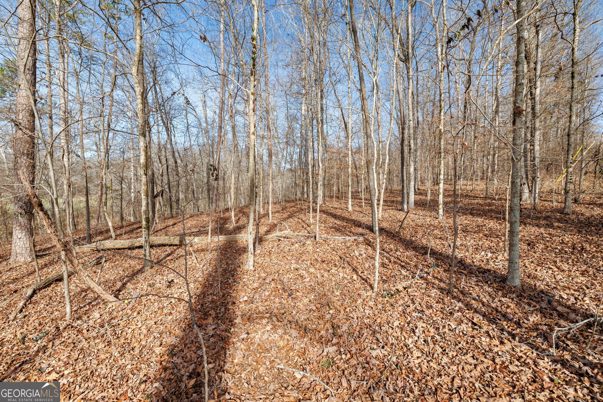 Lot 23 & 24 Tomlin Way Commerce GA 30530