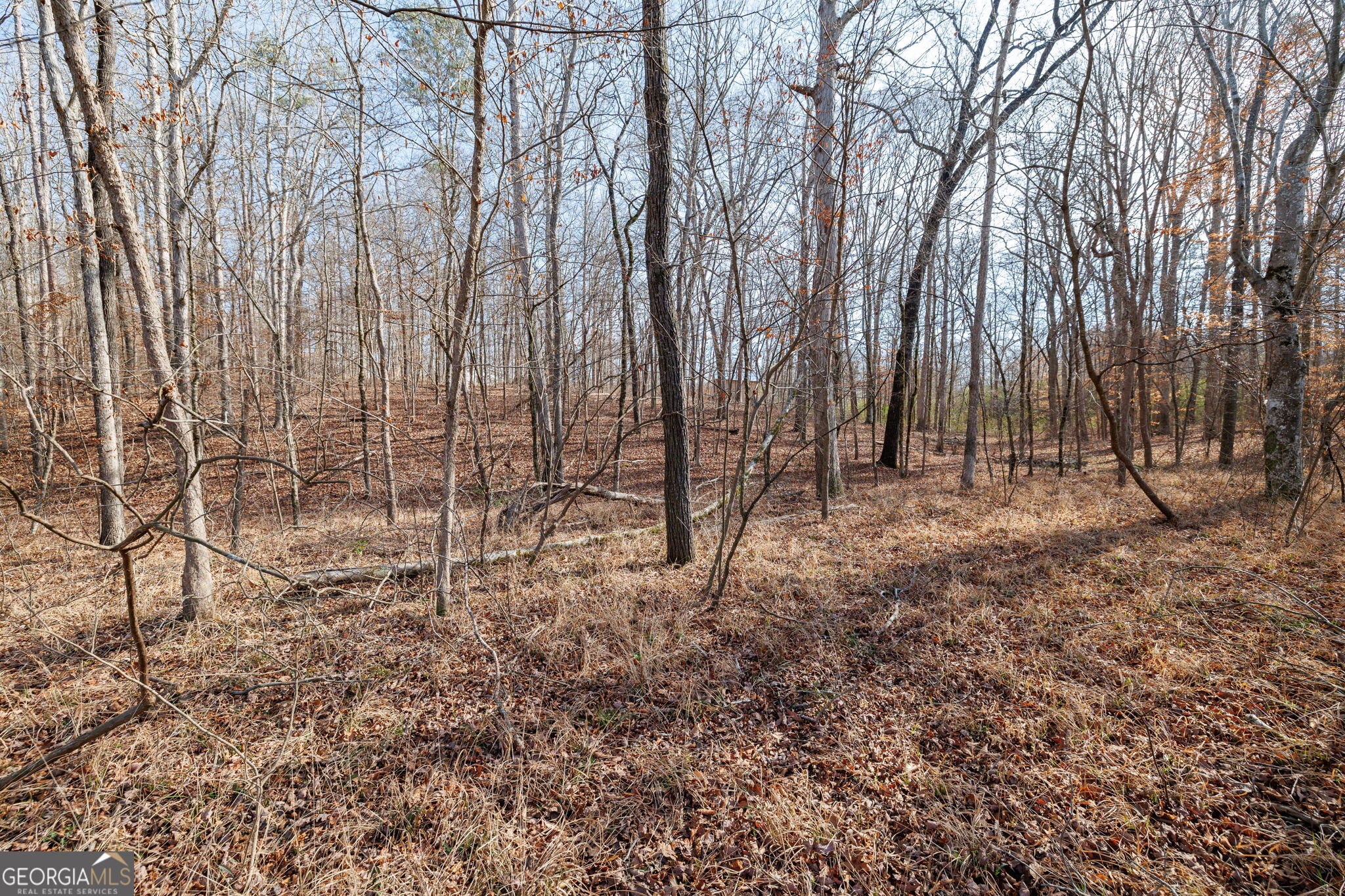 Lot 23 & 24 Tomlin Way Commerce GA 30530