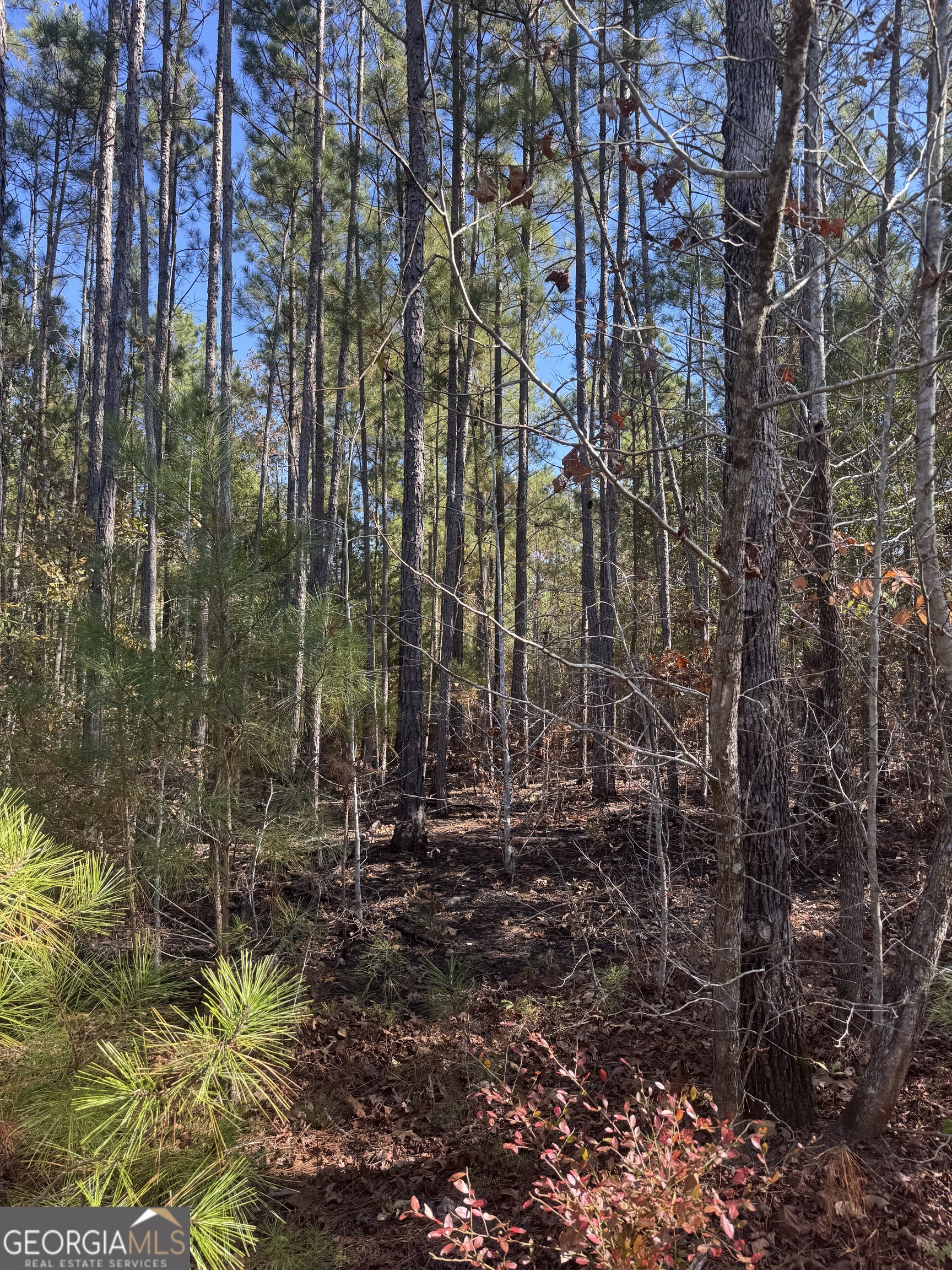 4527 Highway 18 West Point GA 31833