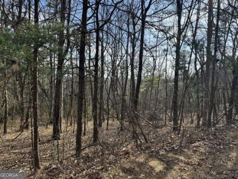 0 Scarlett Pippin Lane Clarkesville GA 30523
