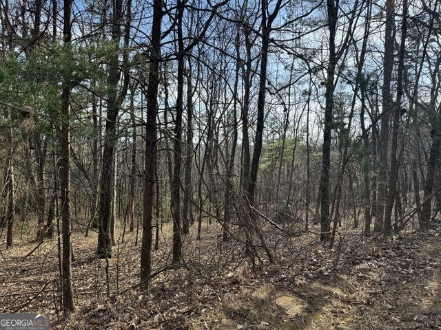 0 Scarlett Pippin Lane Clarkesville GA 30523