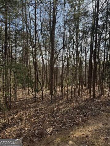 0 Scarlett Pippin Lane Clarkesville GA 30523
