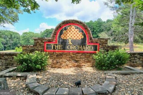 0 Scarlett Pippin Lane Clarkesville GA 30523