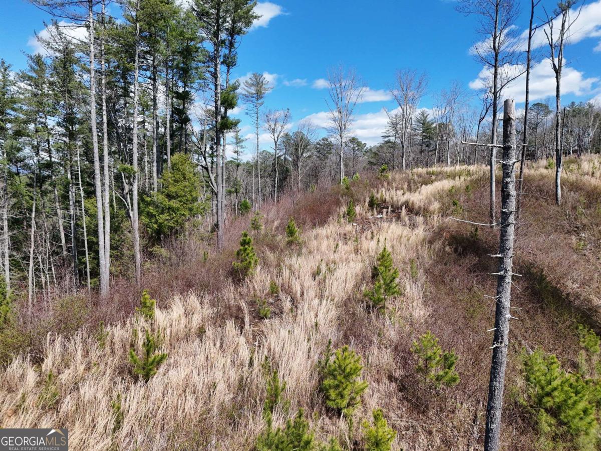 Lot 253 High River Crossing Ellijay GA 30540