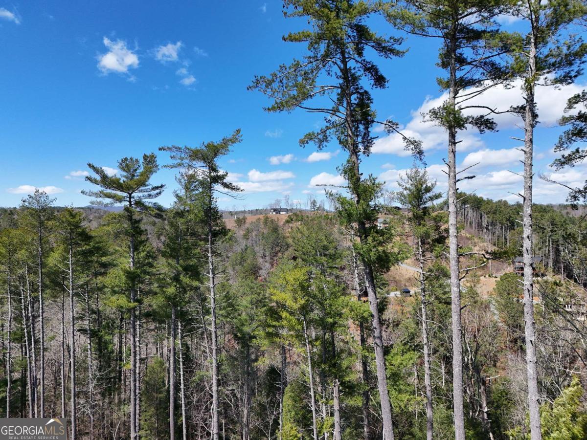 Lot 253 High River Crossing Ellijay GA 30540