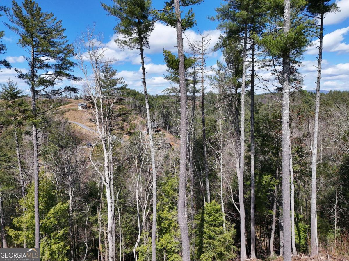 Lot 253 High River Crossing Ellijay GA 30540