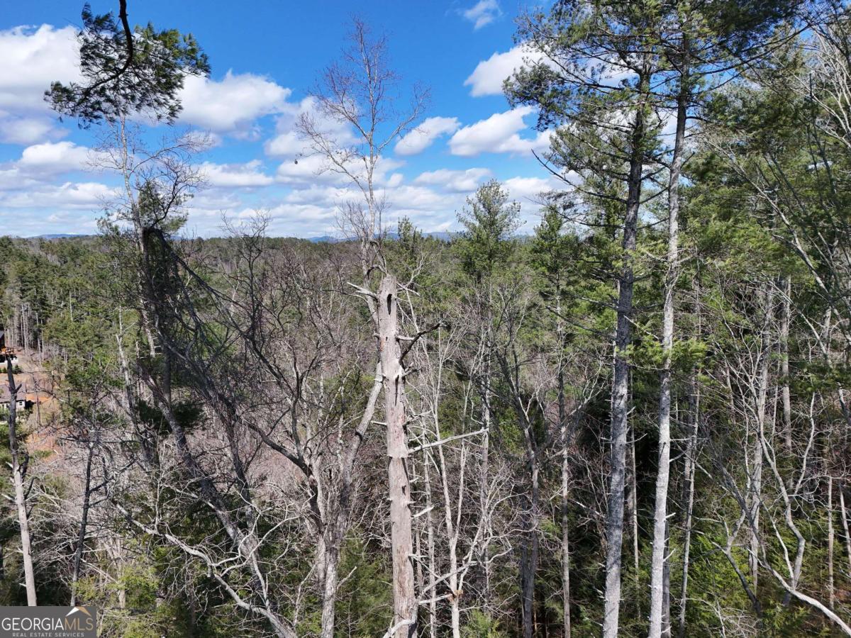 Lot 253 High River Crossing Ellijay GA 30540