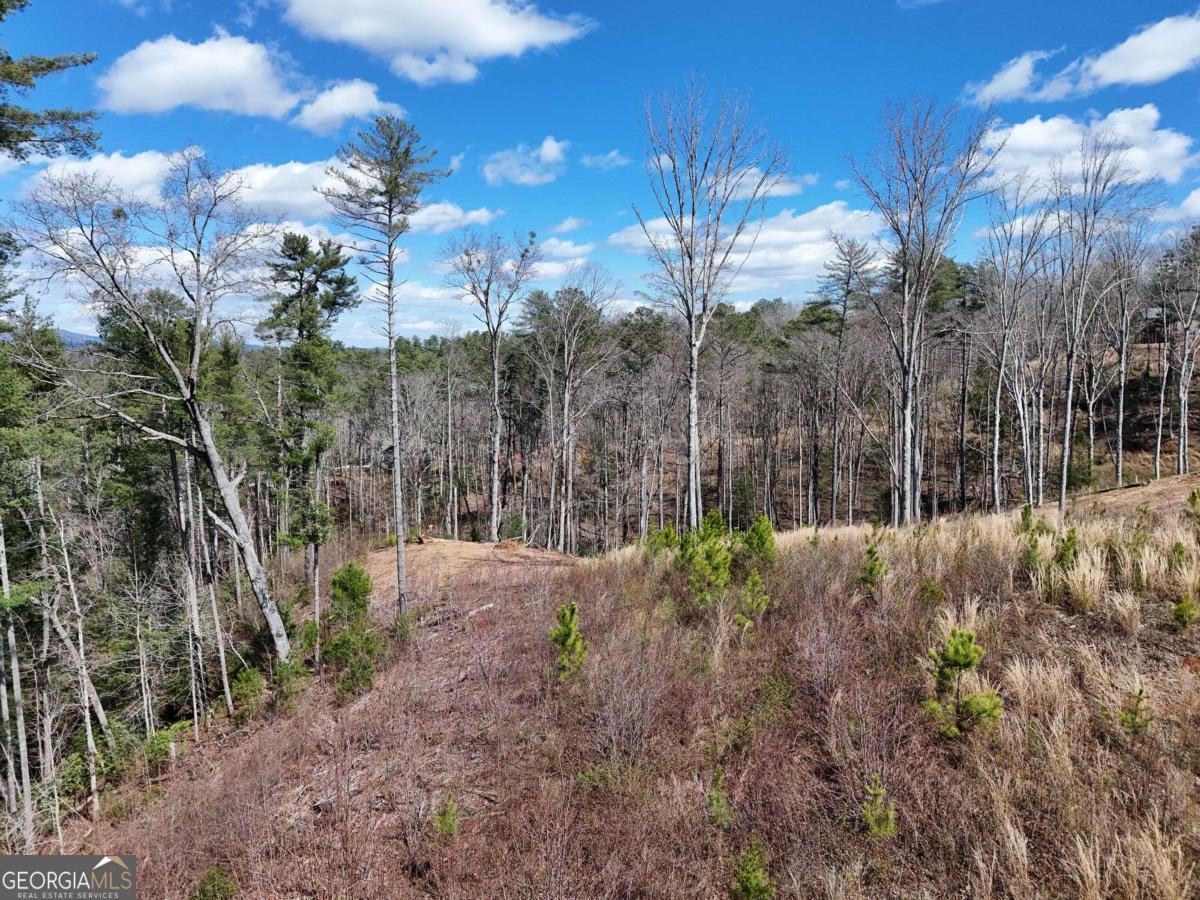 Lot 253 High River Crossing Ellijay GA 30540