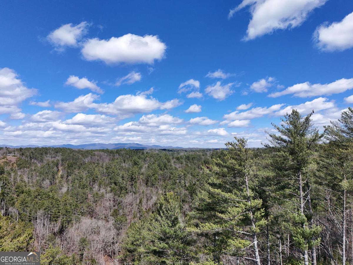 Lot 253 High River Crossing Ellijay GA 30540