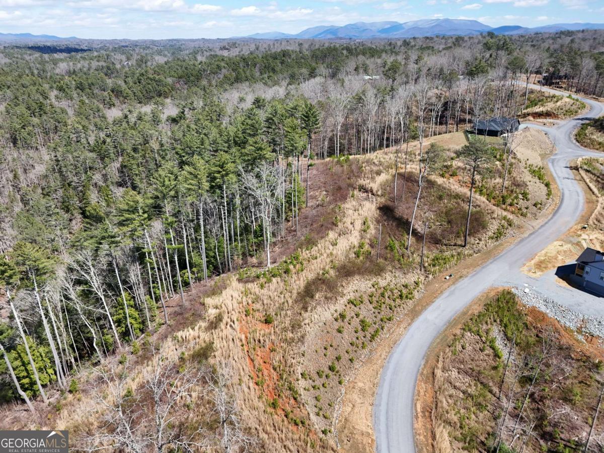 Lot 253 High River Crossing Ellijay GA 30540