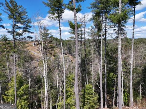 Lot 253 High River Crossing Ellijay GA 30540
