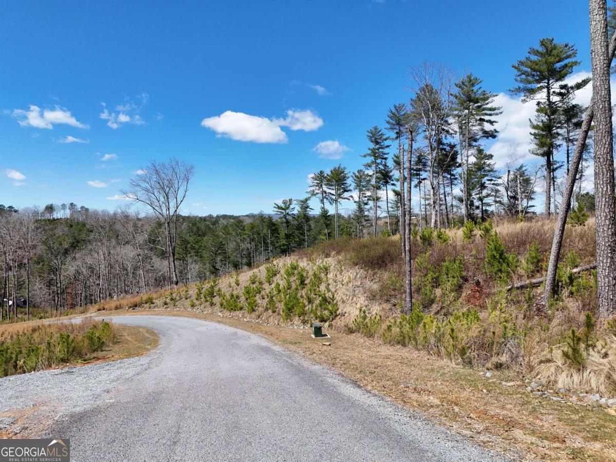 Lot 253 High River Crossing Ellijay GA 30540