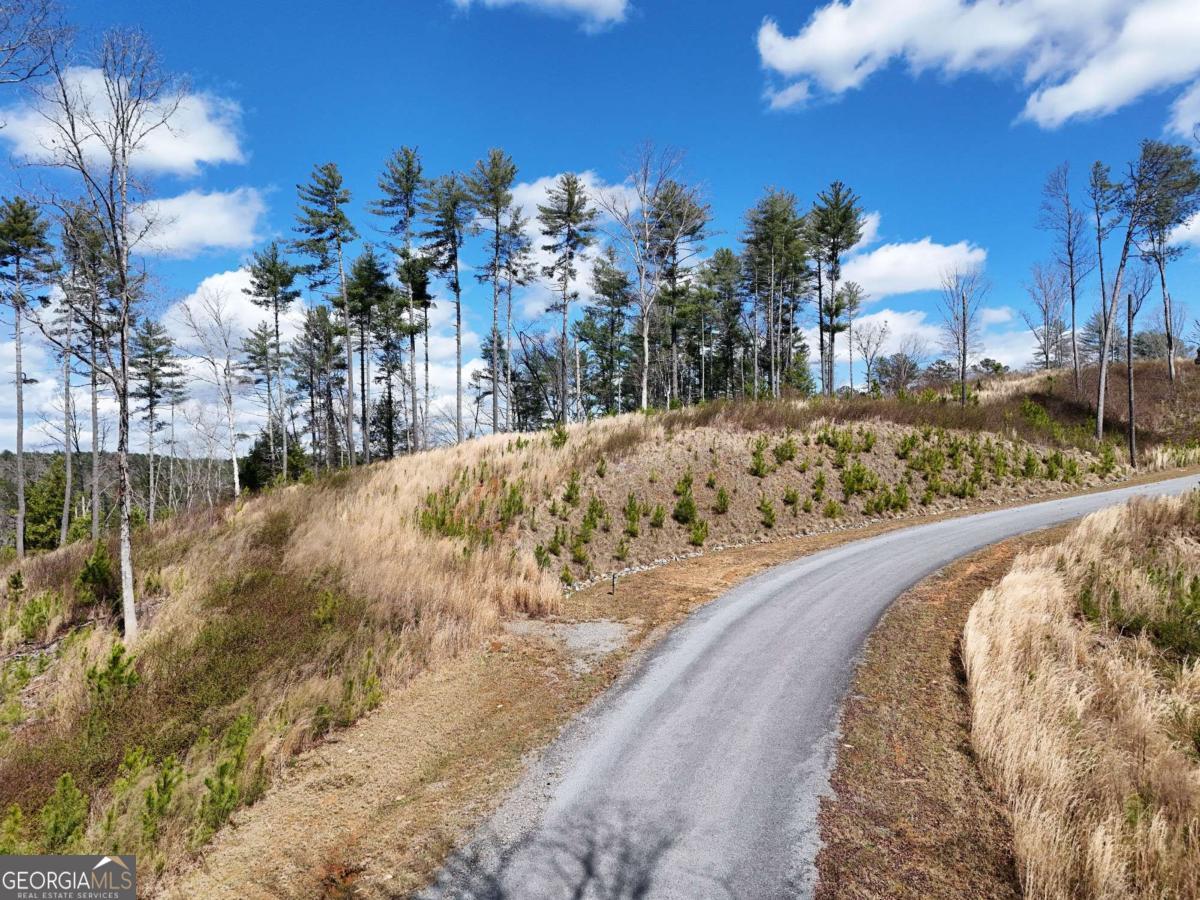 Lot 253 High River Crossing Ellijay GA 30540