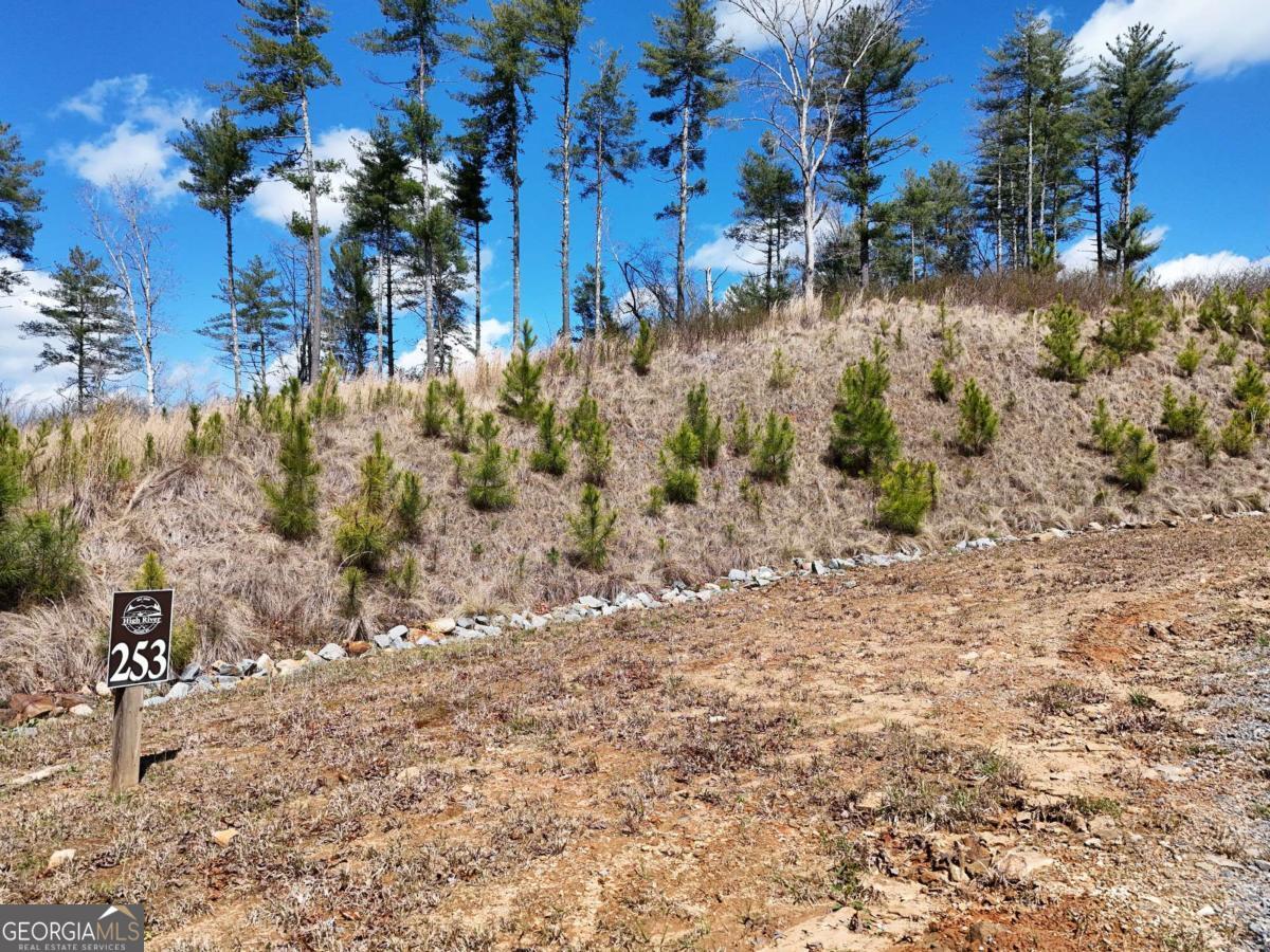 Lot 253 High River Crossing Ellijay GA 30540