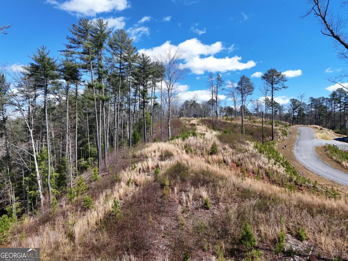 Lot 253 High River Crossing Ellijay GA 30540