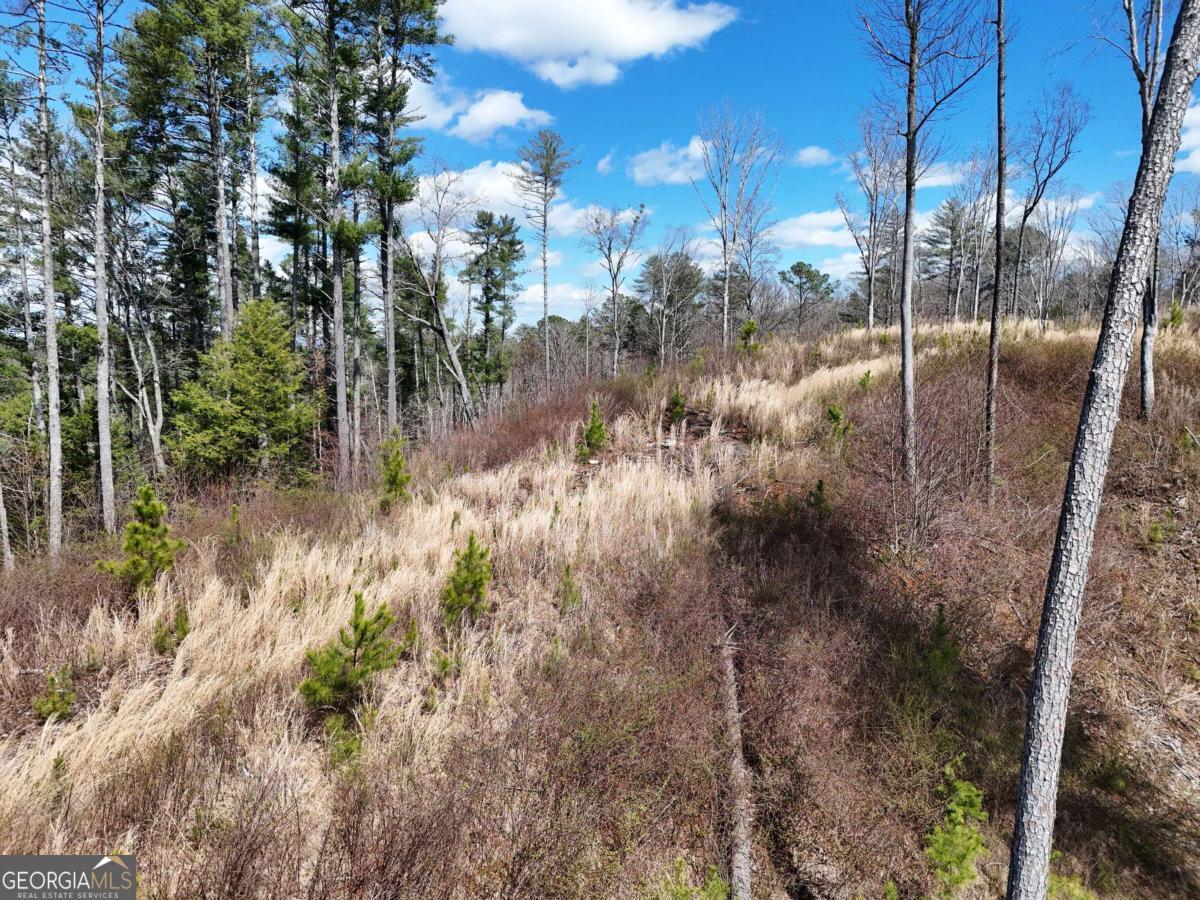 Lot 253 High River Crossing Ellijay GA 30540