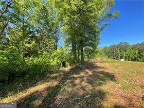 1111 Dockside Drive Buckhead GA 30625