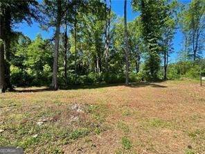 1111 Dockside Drive Buckhead GA 30625