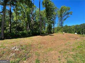 1111 Dockside Drive Buckhead GA 30625