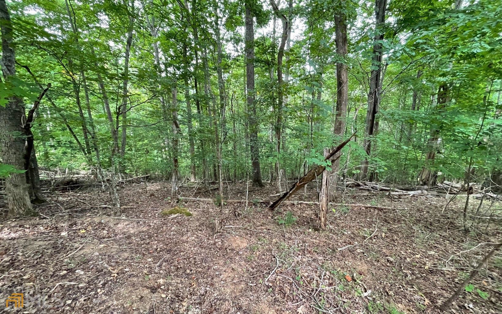 Lot 3 Morgan Creek Ph Ii Young Harris GA 30582