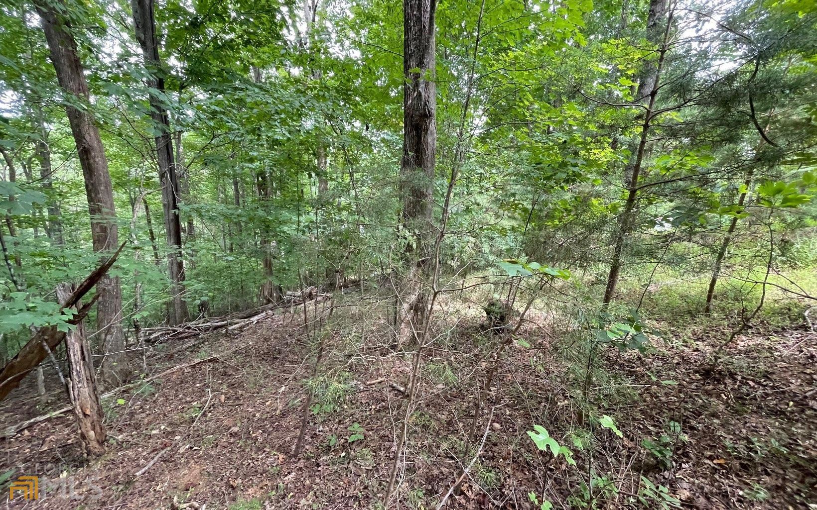 Lot 3 Morgan Creek Ph Ii Young Harris GA 30582