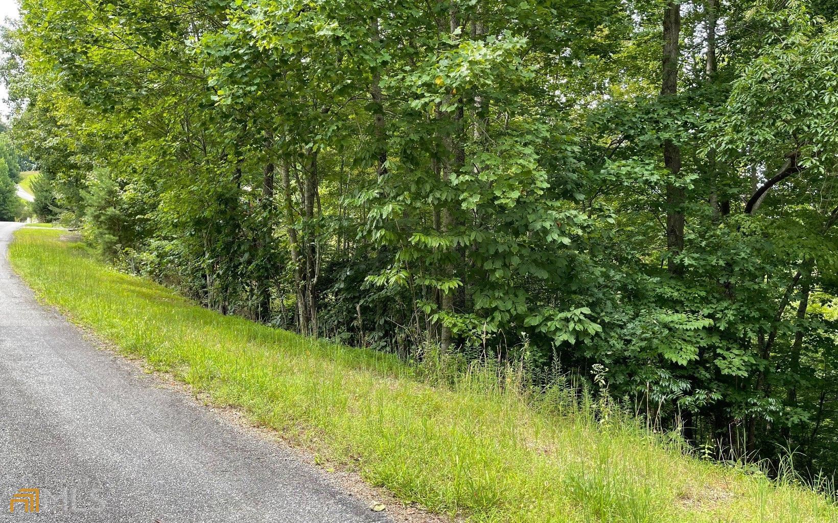 Lot 3 Morgan Creek Ph Ii Young Harris GA 30582