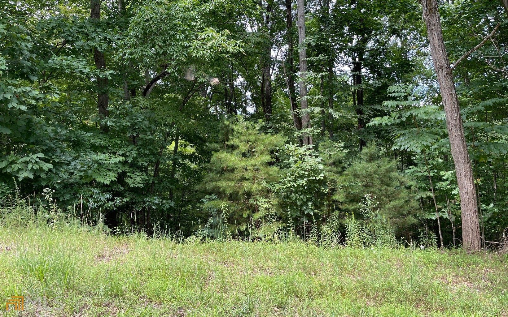 Lot 3 Morgan Creek Ph Ii Young Harris GA 30582