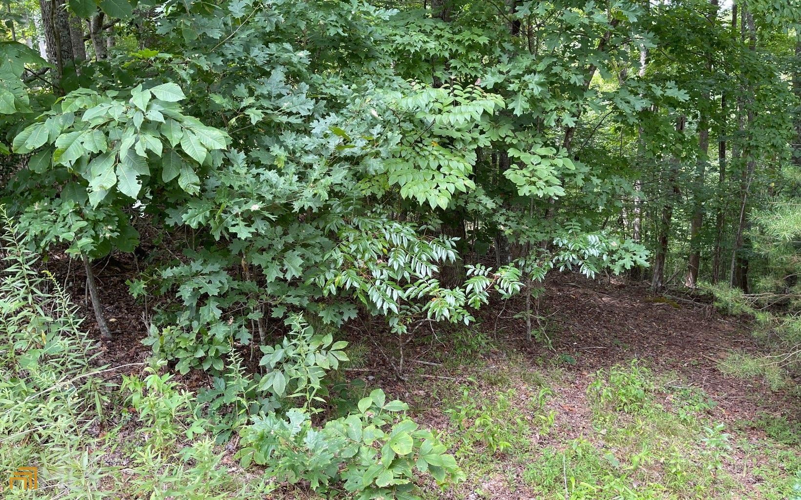 Lot 3 Morgan Creek Ph Ii Young Harris GA 30582