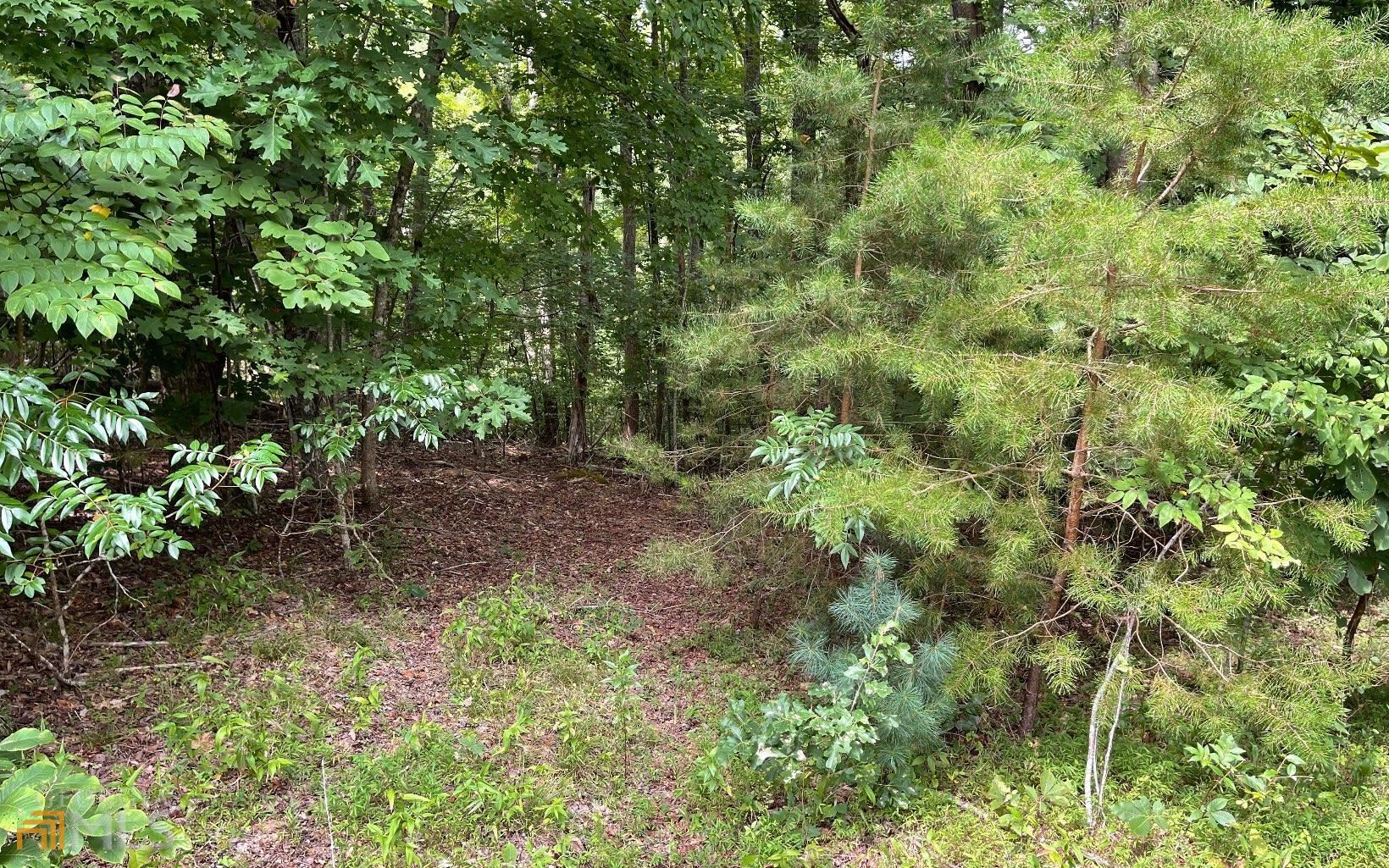 Lot 3 Morgan Creek Ph Ii Young Harris GA 30582