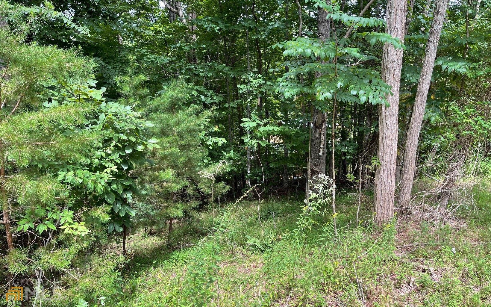 Lot 3 Morgan Creek Ph Ii Young Harris GA 30582