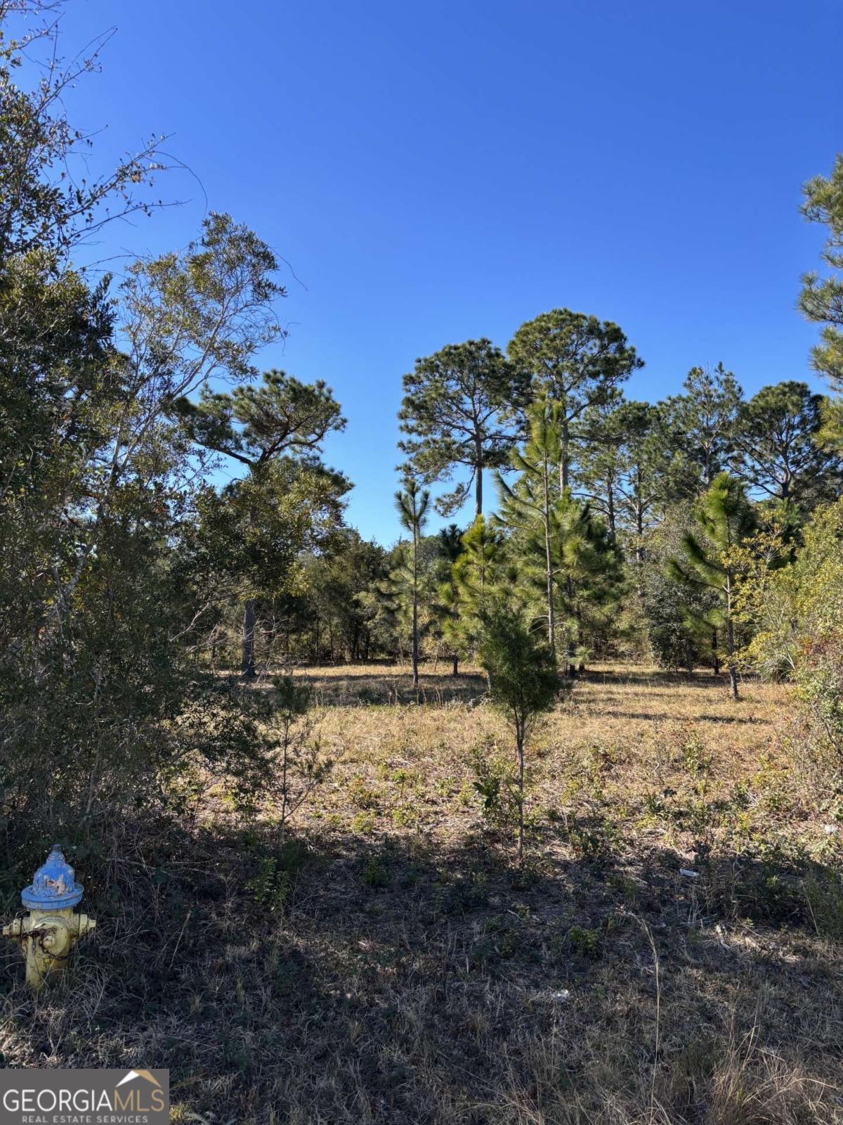 128 Dufour Road St. Marys GA 31558
